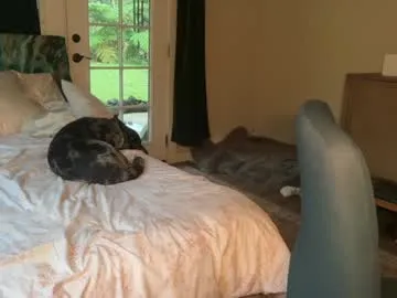 Chaturbate kaileeshy is Freechat kaileeshy — hi